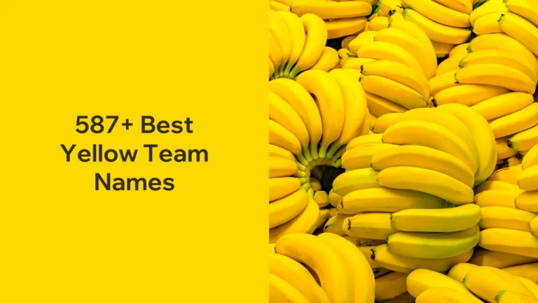 587+ Best Yellow Team Names – Unique, Funny Meaningful Ideas